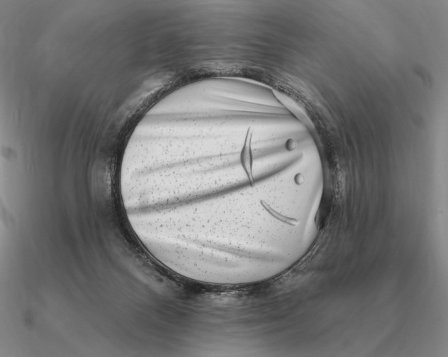 X0000090610120200708071211