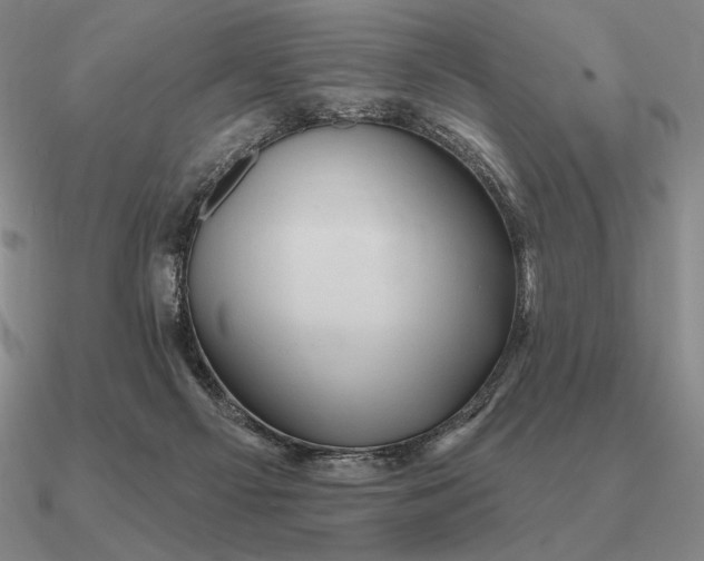 X0000090610121200708071211