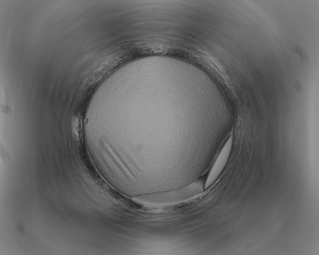 X0000090610122200708071211