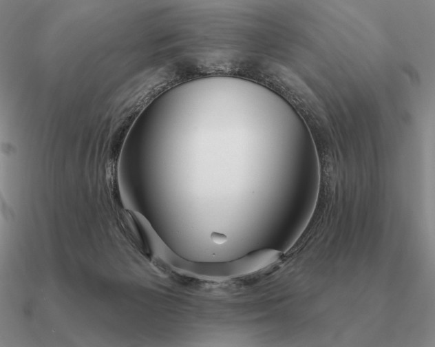 X0000090610125200708071211