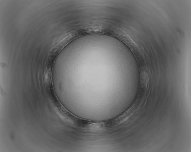 X0000090610126200708071211