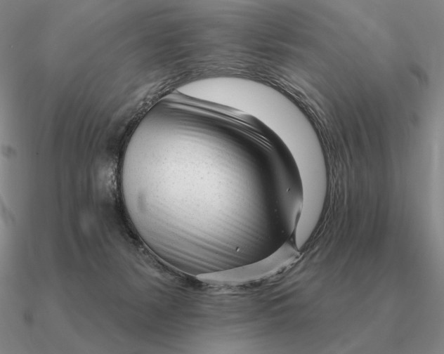 X0000090610127200708071211