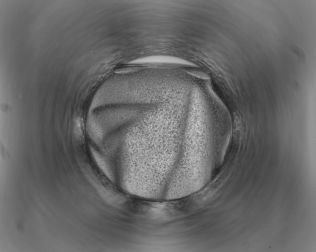 X0000090610130200708071211