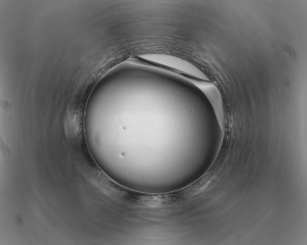 X0000090610131200708071211