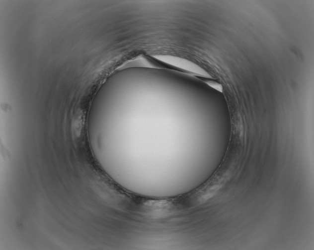 X0000090610133200708071211