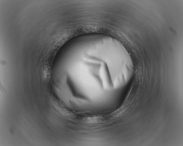 X0000090610134200708071211