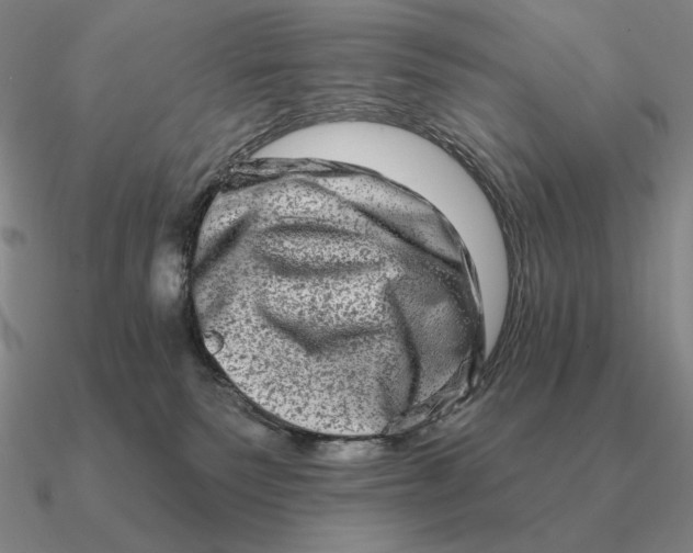 X0000090610135200708071211