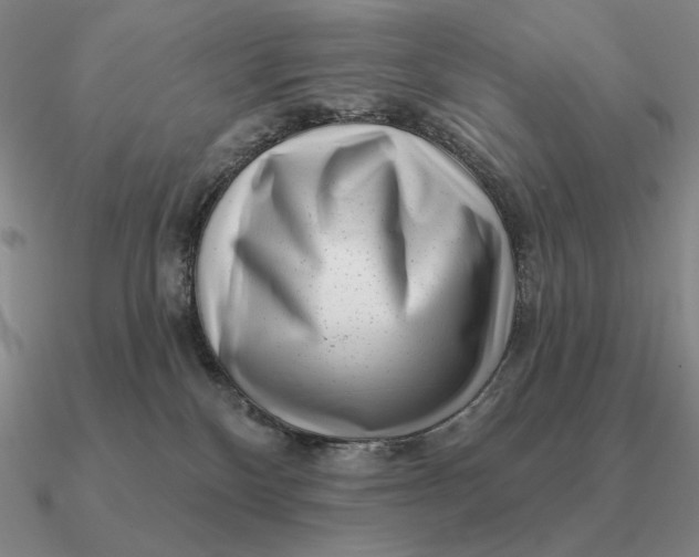 X0000090610136200708071211