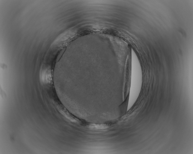 X0000090610137200708071211