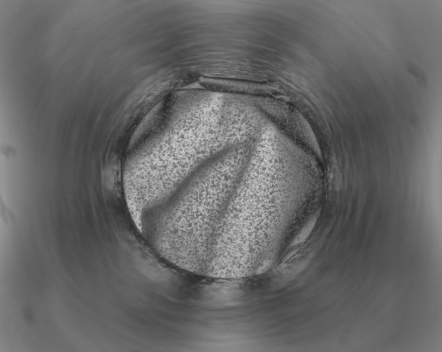 X0000090610138200708071211