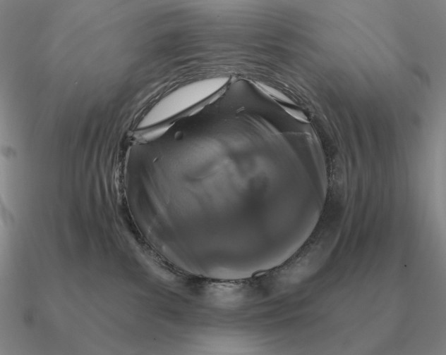 X0000090610139200708071211