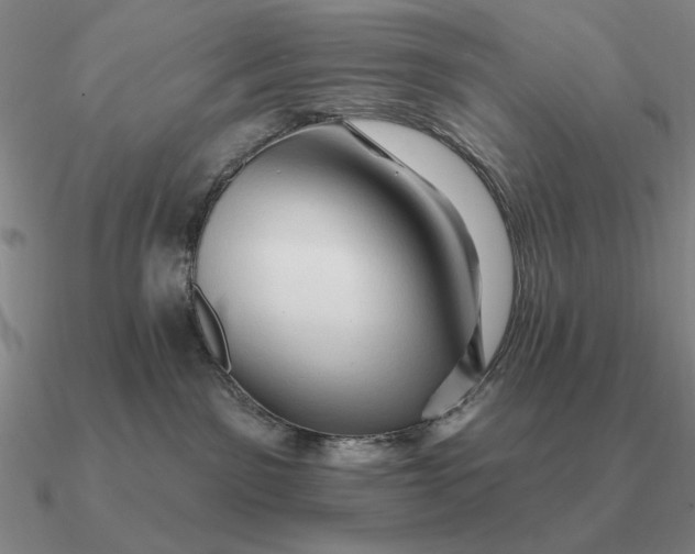 X0000090610141200708071211