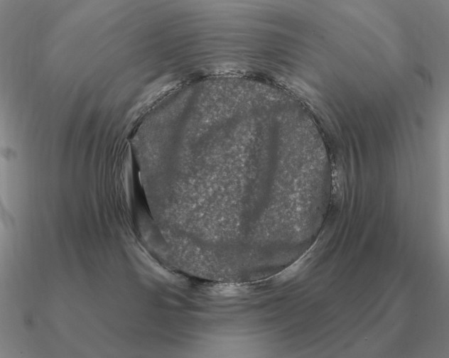 X0000090610142200708071211