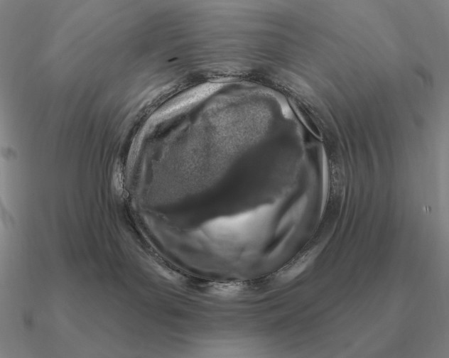 X0000090610143200708071211