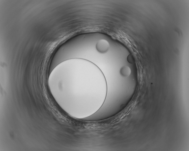 X0000090610145200708071210