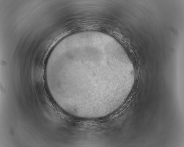 X0000090610146200708071210