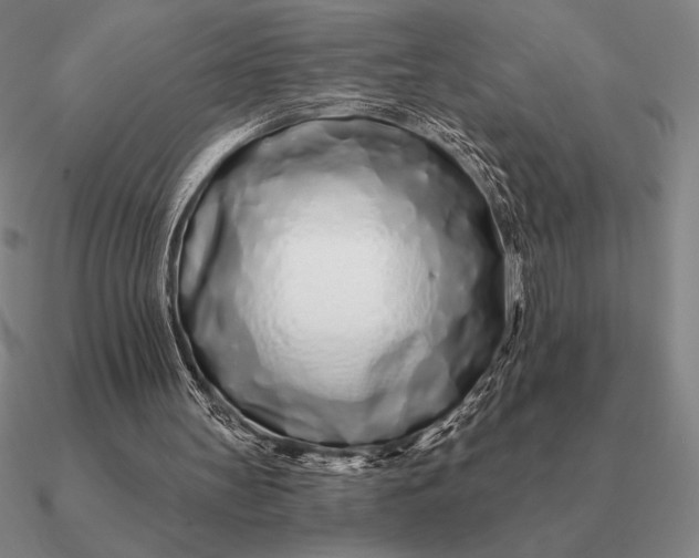 X0000090610147200708071210