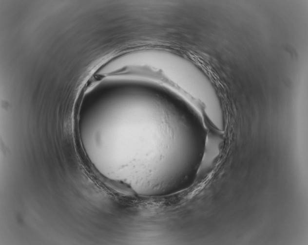 X0000090610148200708071210