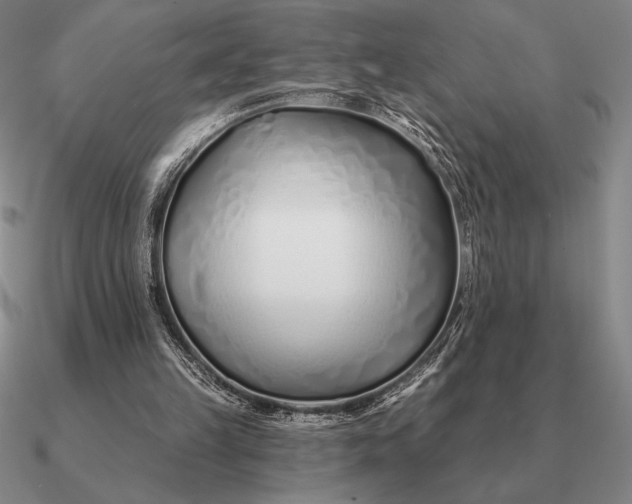 X0000090610149200708071210