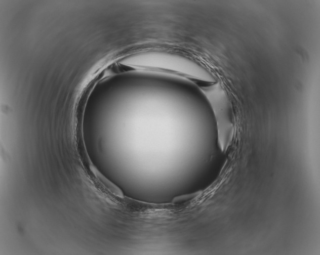 X0000090610150200708071210