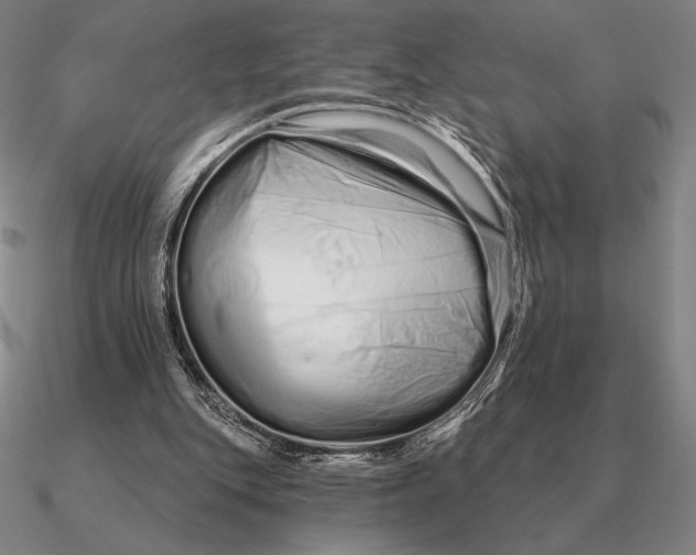 X0000090610151200708071210