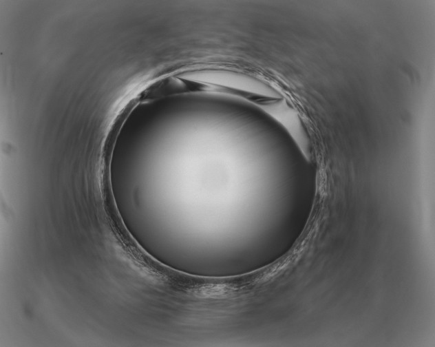 X0000090610152200708071210