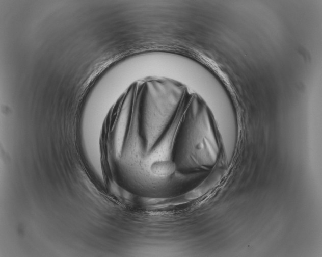 X0000090610154200708071210