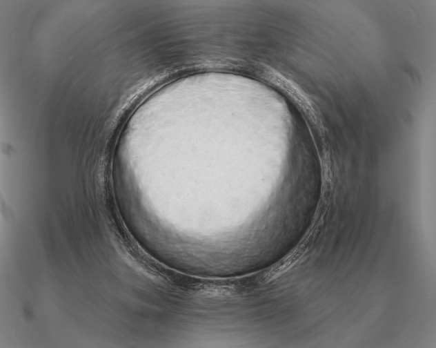 X0000090610155200708071210