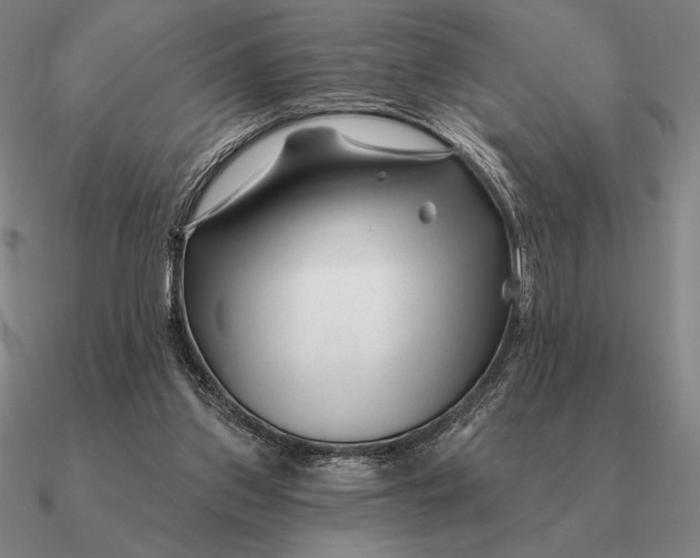 X0000090610157200708071210