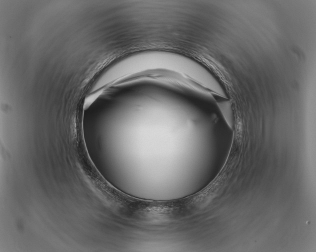 X0000090610158200708071210