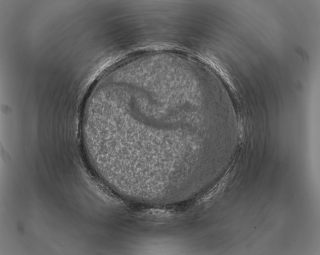 X0000090610159200708071211