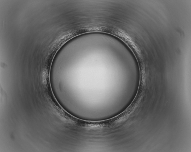 X0000090610161200708071211