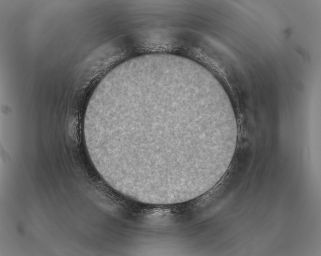 X0000090610162200708071211