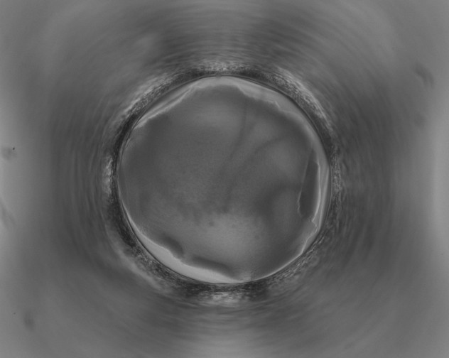 X0000090610163200708071211