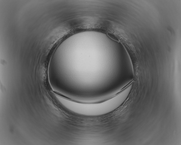 X0000090610164200708071211