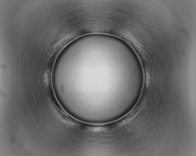 X0000090610165200708071211