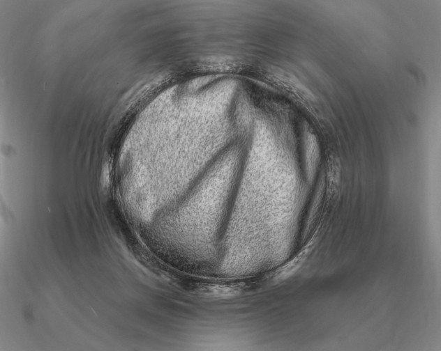 X0000090610166200708071211