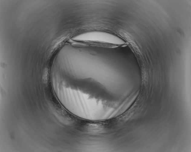 X0000090610167200708071211