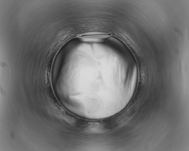 X0000090610169200708071211