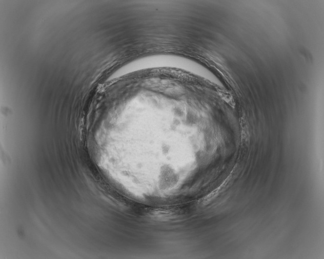 X0000090610171200708071211