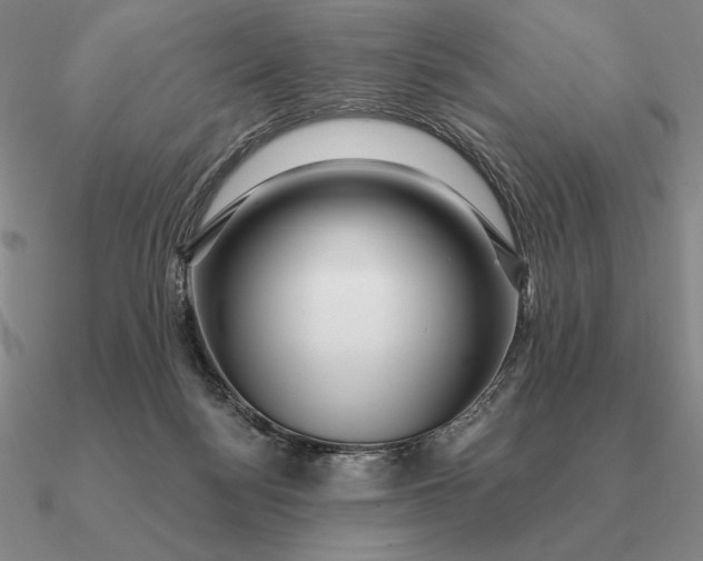 X0000090610172200708071211