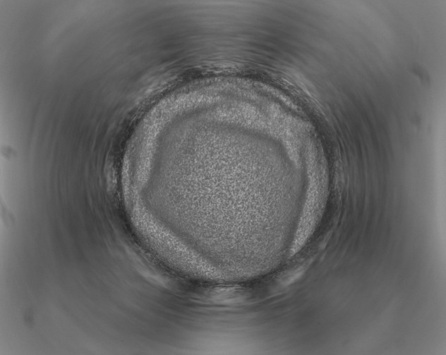 X0000090610173200708071211