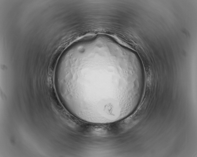 X0000090610175200708071211