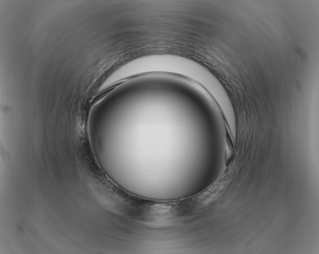 X0000090610176200708071211