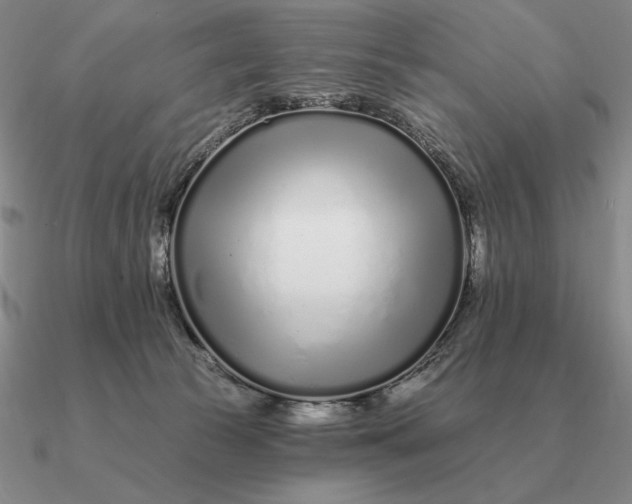 X0000090610177200708071211