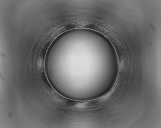 X0000090610178200708071211