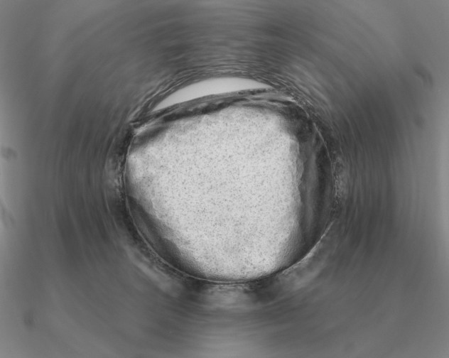 X0000090610179200708071211