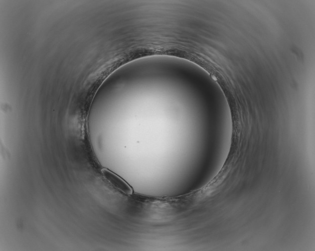 X0000090610180200708071211