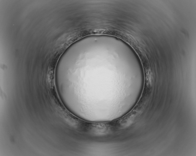 X0000090610181200708071211