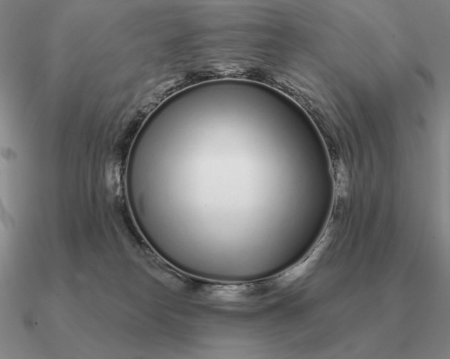 X0000090610182200708071211